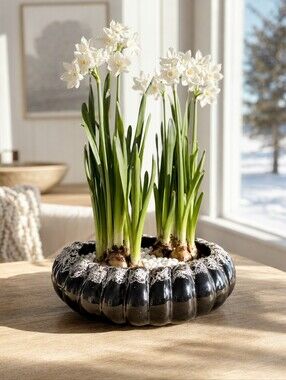 Vintage Beauceware Quebec Black White Drip Bulb Planter / Ikebana Vase